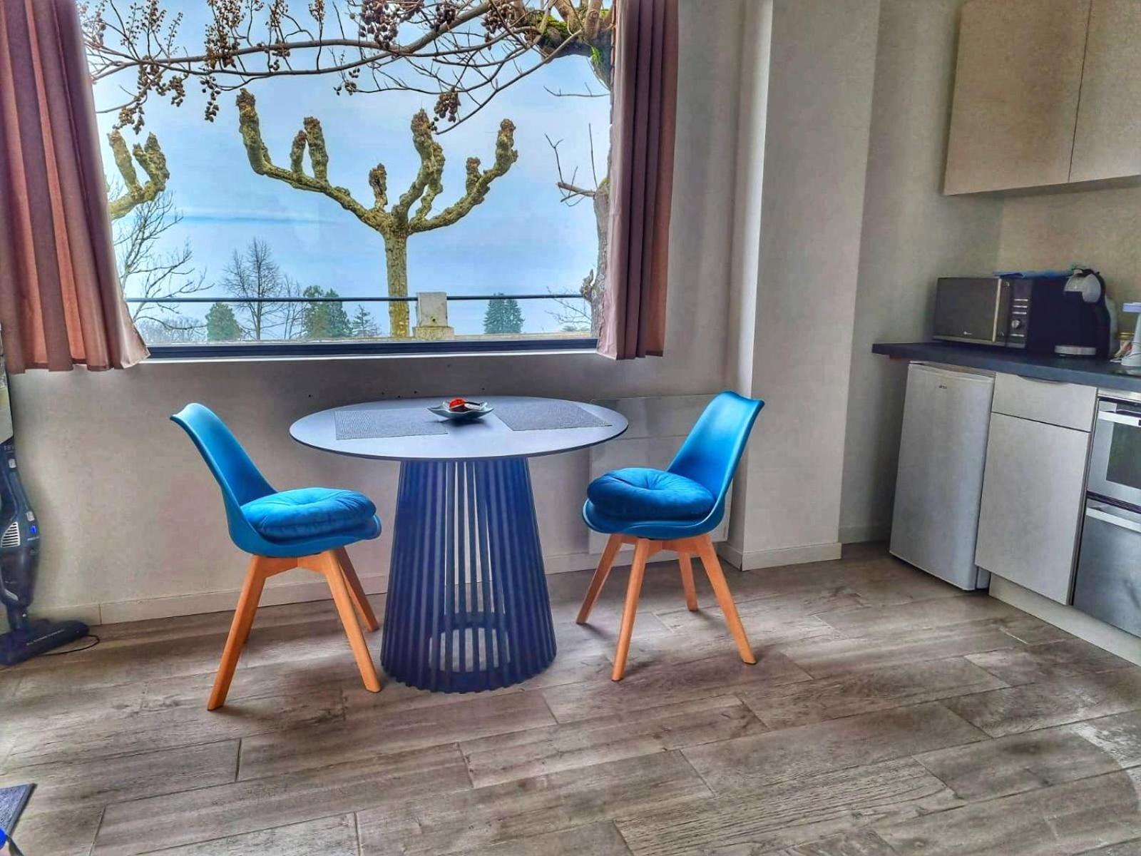 Appartement Cozy 2 Panoramique Lac Leman Thonon-Les-Bains Eksteriør billede